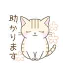 気持ちを伝える☆トラ猫さん（個別スタンプ：4）