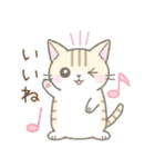 気持ちを伝える☆トラ猫さん（個別スタンプ：14）