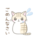 気持ちを伝える☆トラ猫さん（個別スタンプ：24）