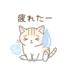気持ちを伝える☆トラ猫さん（個別スタンプ：25）