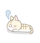 気持ちを伝える☆トラ猫さん（個別スタンプ：27）