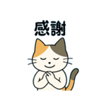 毎日の猫リアクション – かわいくて面白い（個別スタンプ：7）
