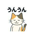 毎日の猫リアクション – かわいくて面白い（個別スタンプ：8）