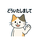 毎日の猫リアクション – かわいくて面白い（個別スタンプ：9）