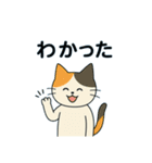 毎日の猫リアクション – かわいくて面白い（個別スタンプ：10）