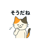毎日の猫リアクション – かわいくて面白い（個別スタンプ：11）