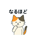 毎日の猫リアクション – かわいくて面白い（個別スタンプ：12）