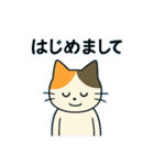 毎日の猫リアクション – かわいくて面白い（個別スタンプ：13）