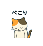 毎日の猫リアクション – かわいくて面白い（個別スタンプ：14）