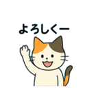 毎日の猫リアクション – かわいくて面白い（個別スタンプ：15）