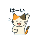 毎日の猫リアクション – かわいくて面白い（個別スタンプ：16）