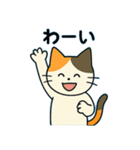毎日の猫リアクション – かわいくて面白い（個別スタンプ：17）