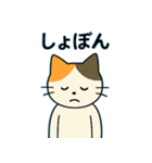 毎日の猫リアクション – かわいくて面白い（個別スタンプ：19）