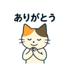 毎日の猫リアクション – かわいくて面白い（個別スタンプ：20）