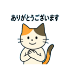 毎日の猫リアクション – かわいくて面白い（個別スタンプ：21）