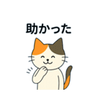 毎日の猫リアクション – かわいくて面白い（個別スタンプ：22）