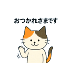 毎日の猫リアクション – かわいくて面白い（個別スタンプ：23）