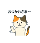 毎日の猫リアクション – かわいくて面白い（個別スタンプ：24）