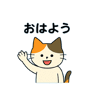 毎日の猫リアクション – かわいくて面白い（個別スタンプ：25）