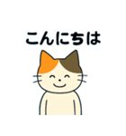 毎日の猫リアクション – かわいくて面白い（個別スタンプ：26）