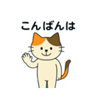 毎日の猫リアクション – かわいくて面白い（個別スタンプ：27）