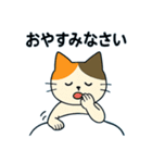 毎日の猫リアクション – かわいくて面白い（個別スタンプ：28）