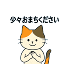 毎日の猫リアクション – かわいくて面白い（個別スタンプ：30）