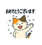 毎日の猫リアクション – かわいくて面白い（個別スタンプ：33）