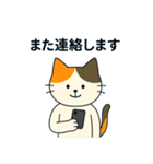 毎日の猫リアクション – かわいくて面白い（個別スタンプ：34）