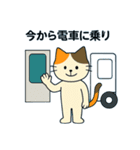 毎日の猫リアクション – かわいくて面白い（個別スタンプ：37）