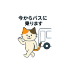 毎日の猫リアクション – かわいくて面白い（個別スタンプ：38）