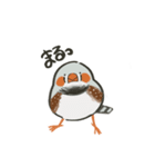 手描キンカ（個別スタンプ：1）