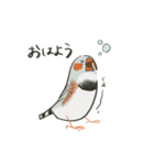 手描キンカ（個別スタンプ：3）