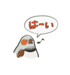 手描キンカ（個別スタンプ：5）