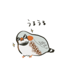 手描キンカ（個別スタンプ：7）