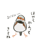 手描キンカ（個別スタンプ：9）