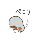 手描キンカ（個別スタンプ：11）