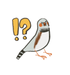 手描キンカ（個別スタンプ：13）