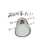 手描キンカ（個別スタンプ：15）