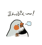手描キンカ（個別スタンプ：16）