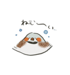 手描キンカ（個別スタンプ：19）