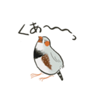 手描キンカ（個別スタンプ：20）
