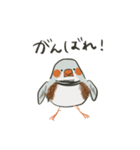 手描キンカ（個別スタンプ：31）