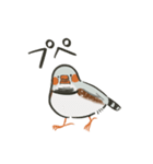 手描キンカ（個別スタンプ：34）