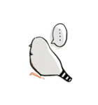 手描キンカ（個別スタンプ：37）