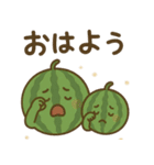 スイカの親子の日常スタンプ（個別スタンプ：1）