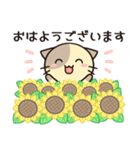 ずっと使えるカフェオレねこの夏スタンプ（個別スタンプ：1）