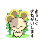 ずっと使えるカフェオレねこの夏スタンプ（個別スタンプ：13）