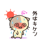 ずっと使えるカフェオレねこの夏スタンプ（個別スタンプ：15）