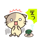 ずっと使えるカフェオレねこの夏スタンプ（個別スタンプ：20）
